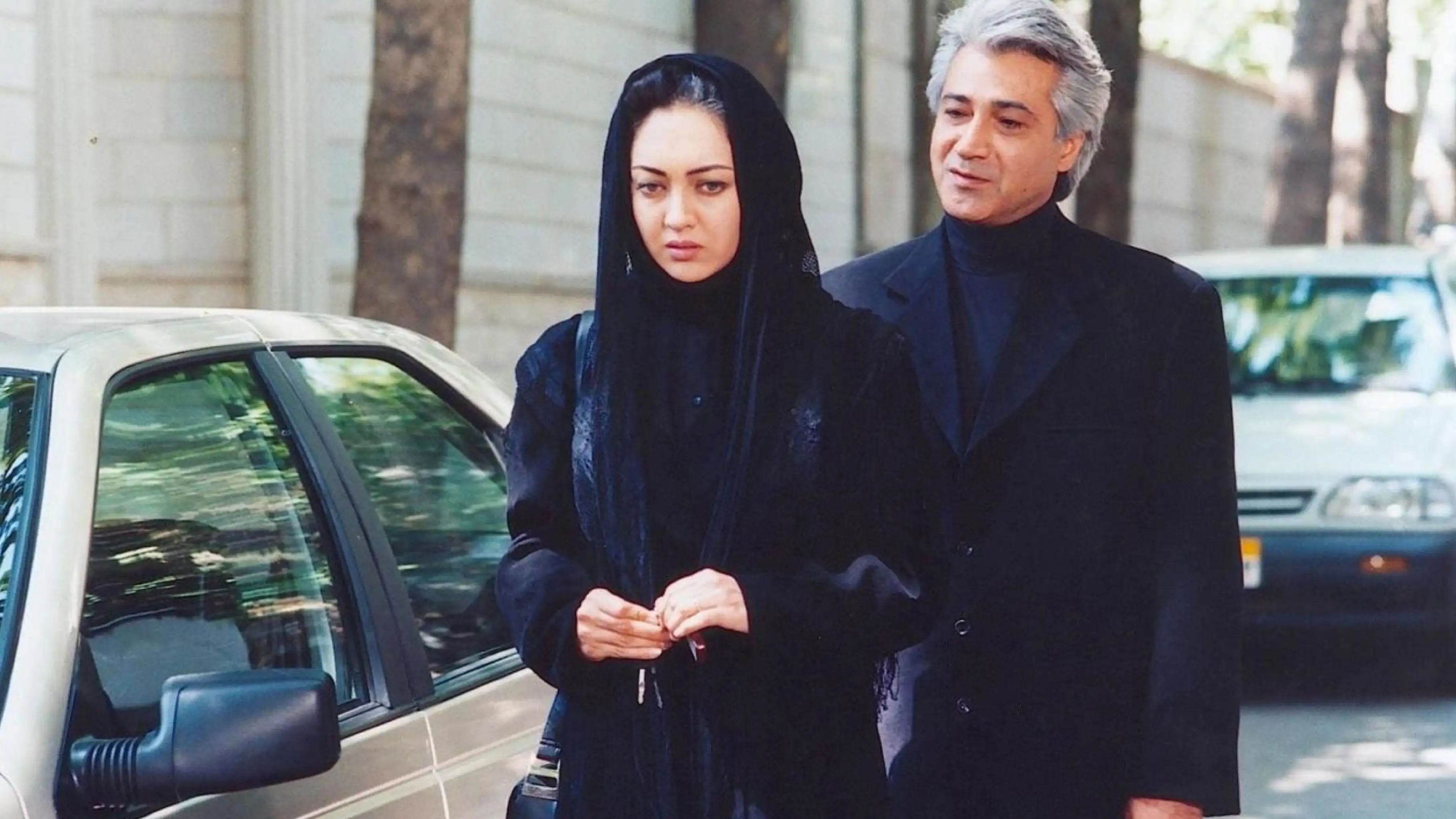 نیمه پنهان