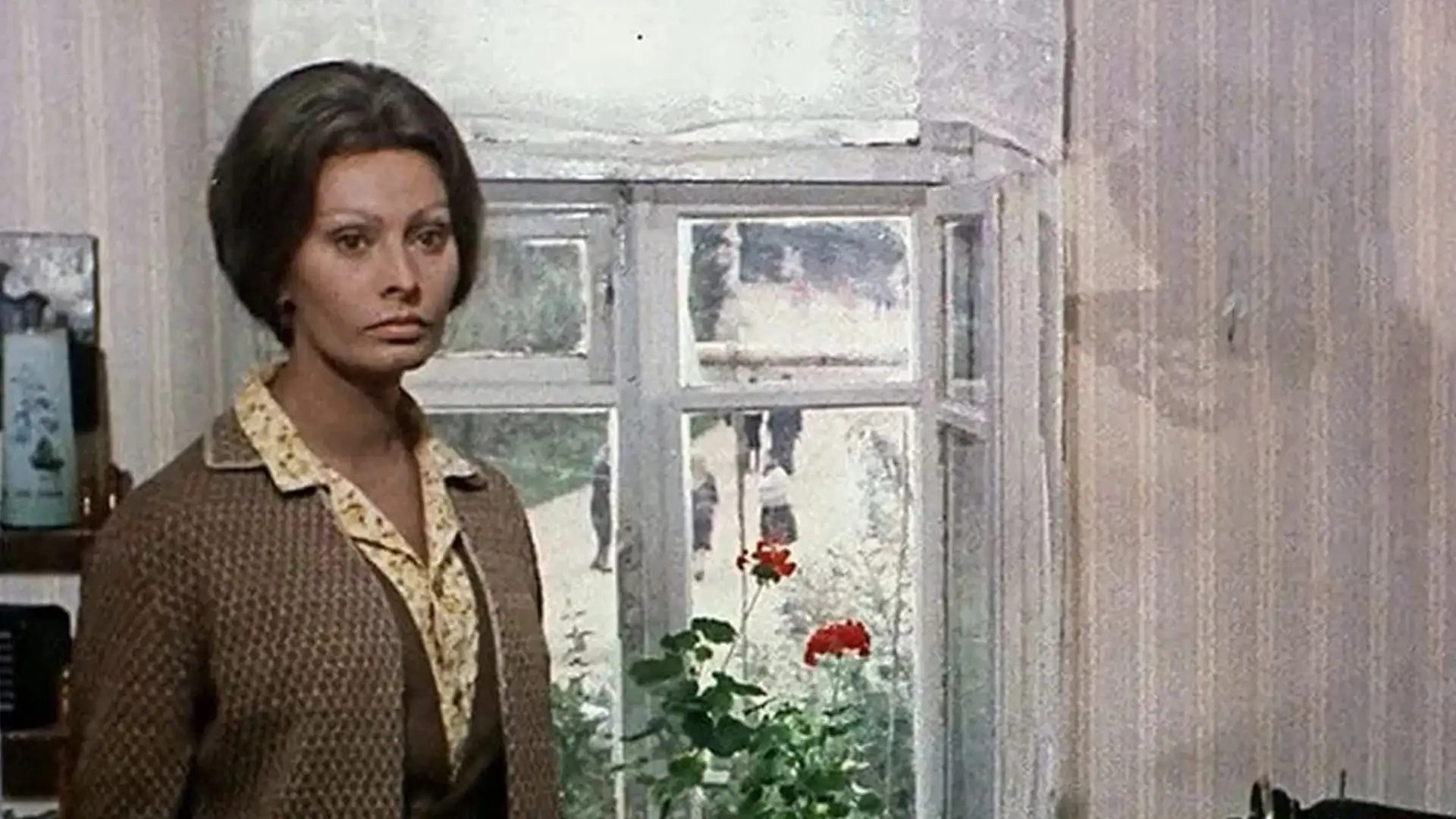 گل آفتابگردان