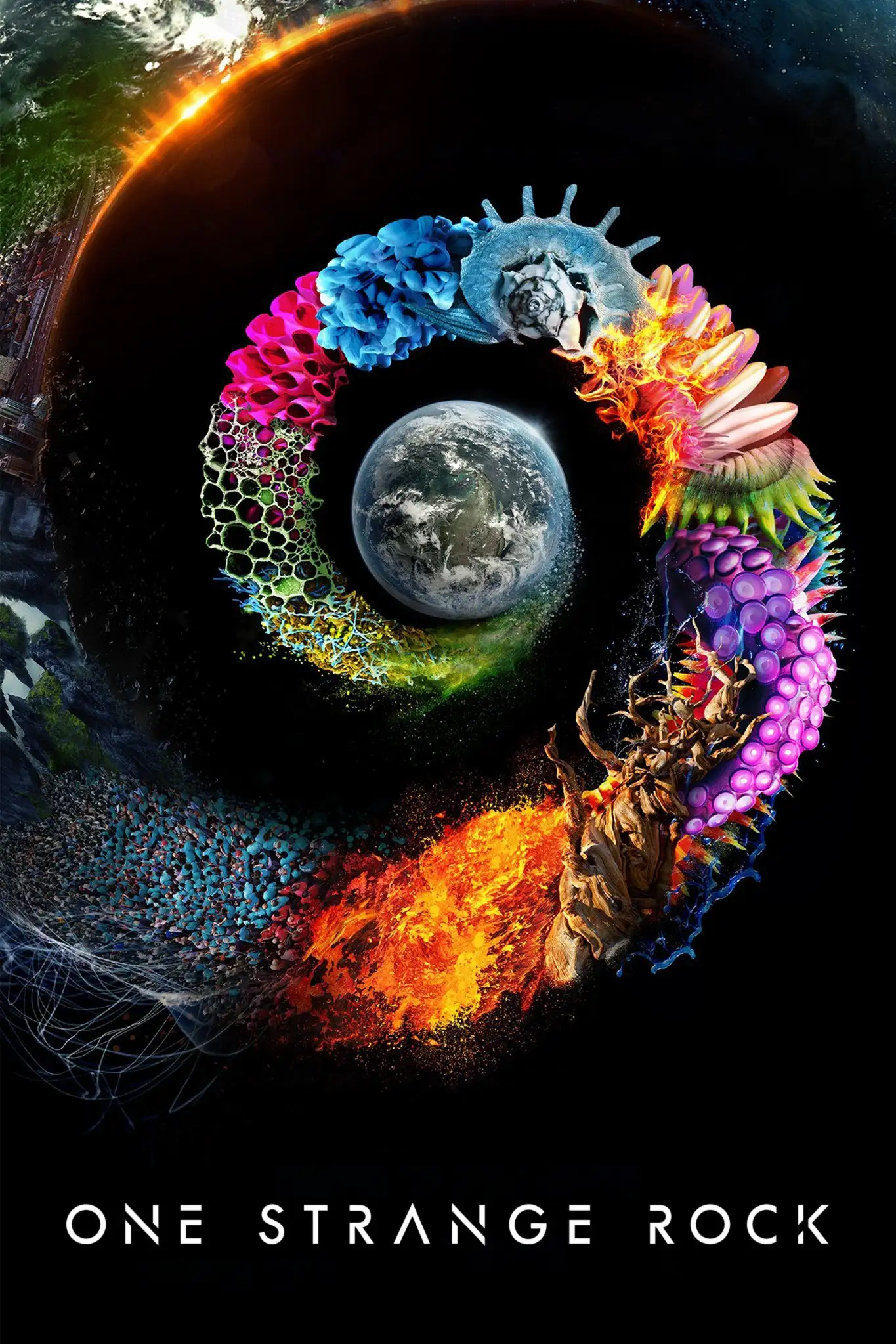 یک سنگ عجیب