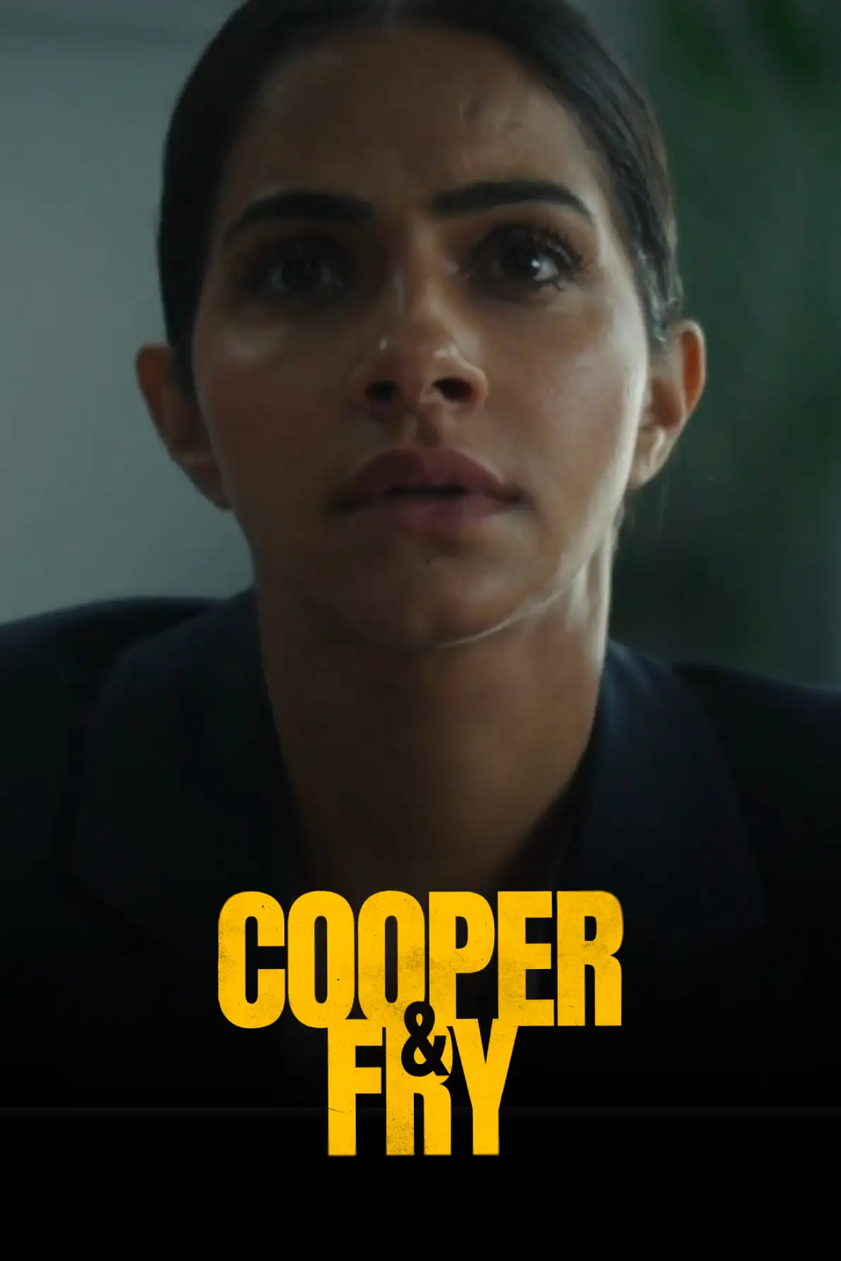 کوپر و فرای (فصل 1 قسمت 3)